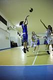 Basket C321100
